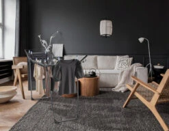 Leifheit 81690 Droogrek Pegasus 150 Solid Slim Black -Leifheit Verkaufsgeschäft 4006501816900 1